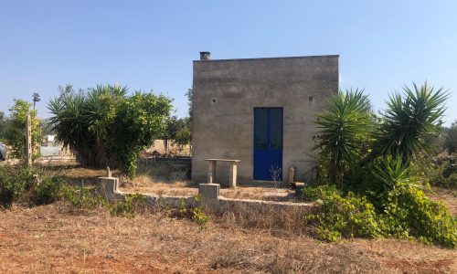 WhatsApp Image 2025-08-18 at 20.00.31 (1)