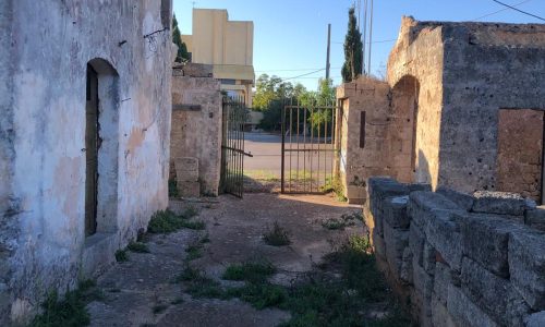 WhatsApp Image 2025-09-22 at 10.56.53 (5)