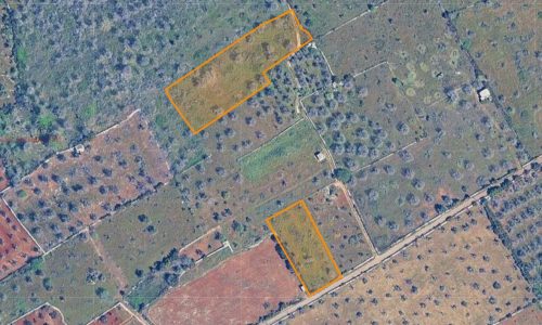 terreni vicini foglio 13